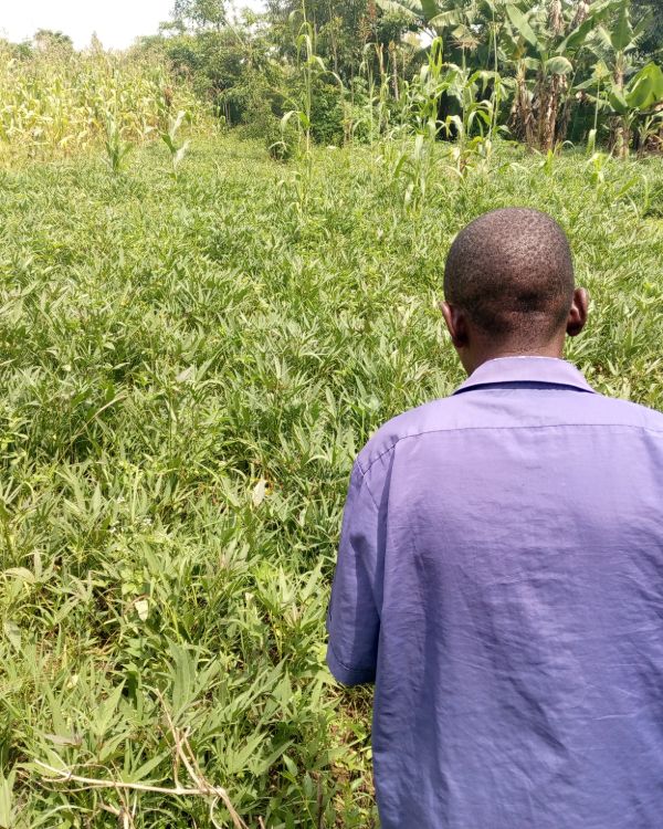 Odhiambo