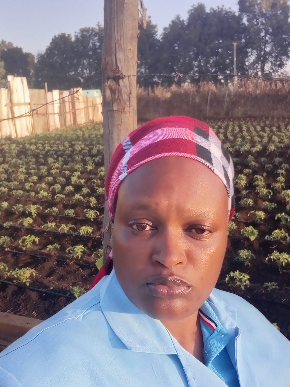Sharry