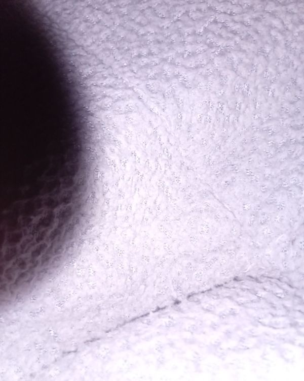 Incognito
